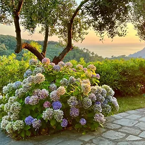  Apartment Incanto Italy